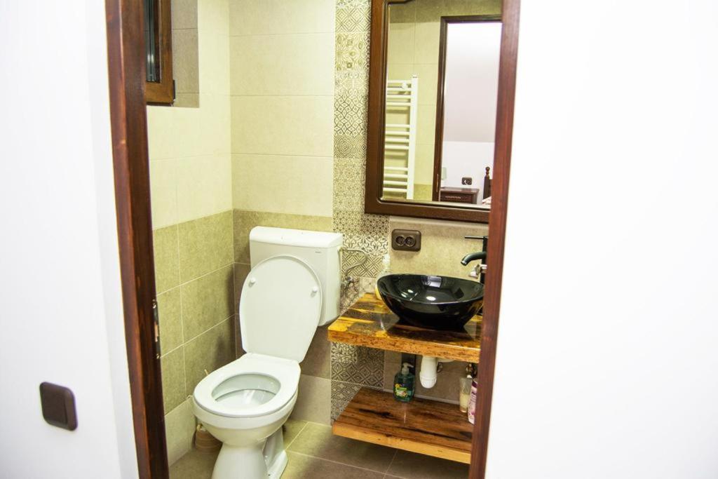 Casa De Vacanta Edya Petroşani Buitenkant foto