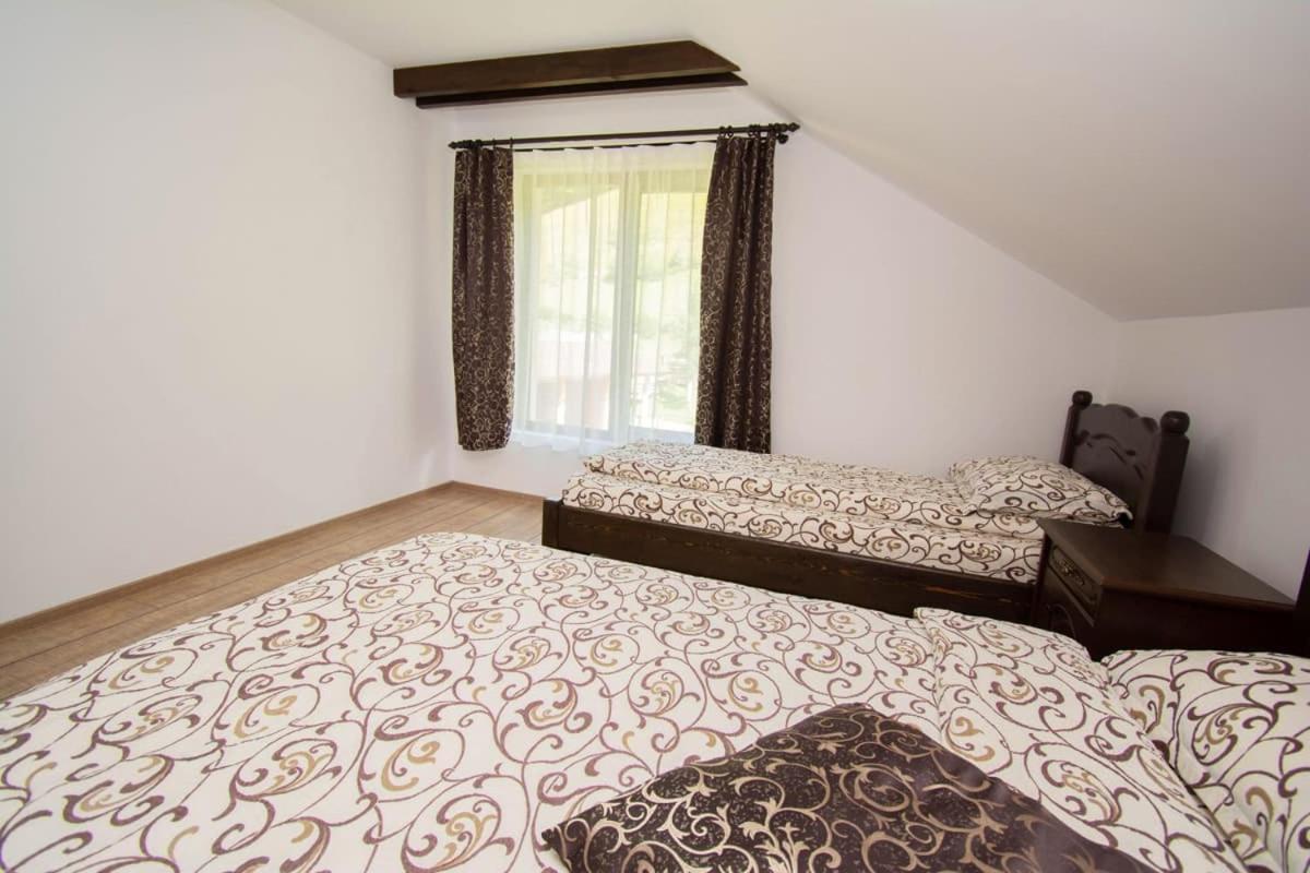 Casa De Vacanta Edya Petroşani Buitenkant foto